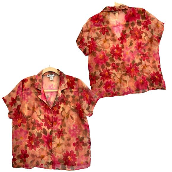 Sheer Chiffon Floral Button Top Collared 20W Garden Fairy Bloomcore Ethereal VTG - Picture 2 of 13